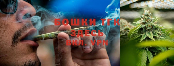 прущие грибы Верея