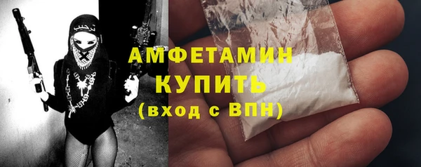 прущие грибы Верея