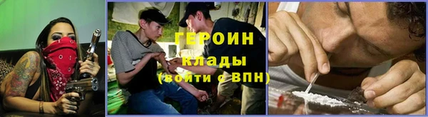 прущие грибы Верея