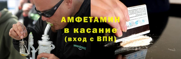 прущие грибы Верея