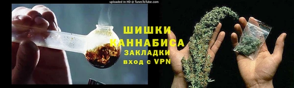 прущие грибы Верея