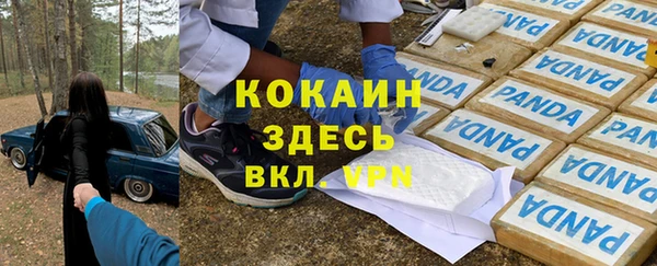 прущие грибы Верея