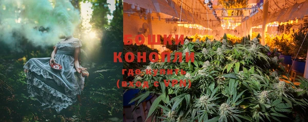 PSILOCYBIN Верхний Тагил