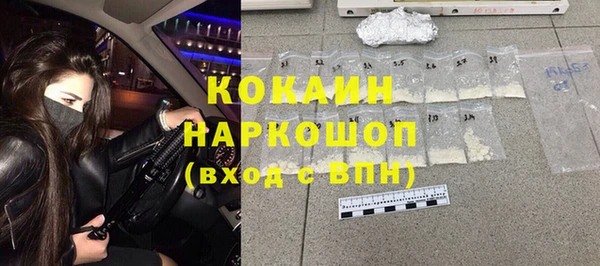 прущие грибы Верея