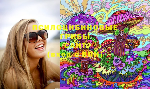 PSILOCYBIN Верхний Тагил