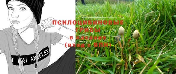 прущие грибы Верея