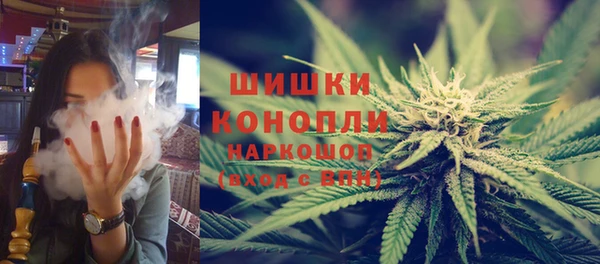 прущие грибы Верея