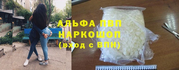 прущие грибы Верея